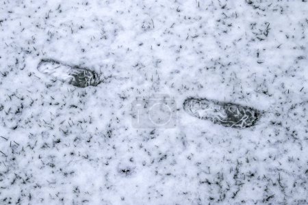 Téléchargez les photos : Des pas de chaussures masculines dans la neige blanche fraîche en hiver - en image libre de droit