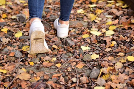 Téléchargez les photos : Jambes marchantes portant un jean bleu et des chaussures blanches sur les feuilles d'automne - en image libre de droit
