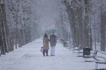 Foto de Gente disfrutando de un día nevado en el parque del Retiro, Madrid - Imagen libre de derechos