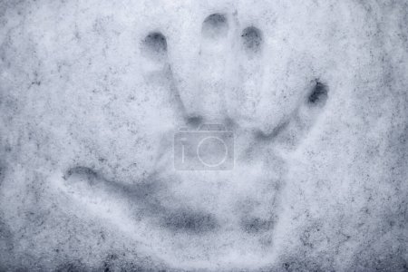 Photo for Hand imprint in fresh white snow during winter - Royalty Free Image