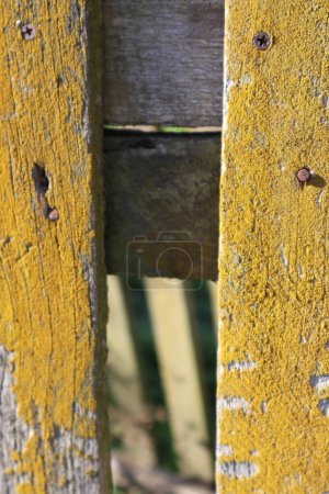Photo for Old fence with wooden railings - Royalty Free Image