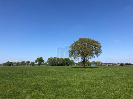 Téléchargez les photos : Terres agricoles autour de Rijssen vue de fond - en image libre de droit