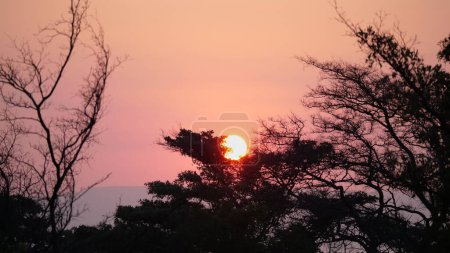 Foto de Puesta de sol en Waterberg vista de fondo - Imagen libre de derechos