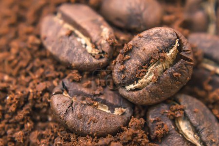 Photo for "Close-up of coffee beans, freshly roasted coffee grains lie on a heap of ground coffee" - Royalty Free Image