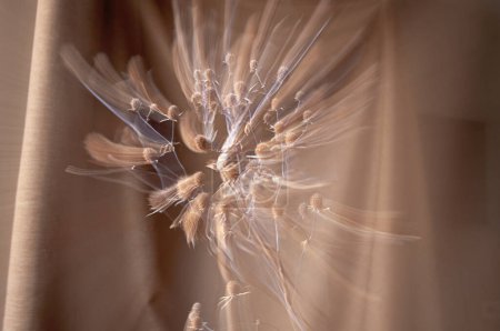 Foto de Abstracto larga exposición ramo de flores sobre fondo marrón - Imagen libre de derechos