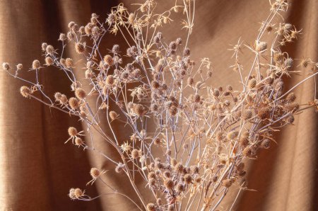 Foto de Bouquet of wildflowers dry thistle on brown background - Imagen libre de derechos
