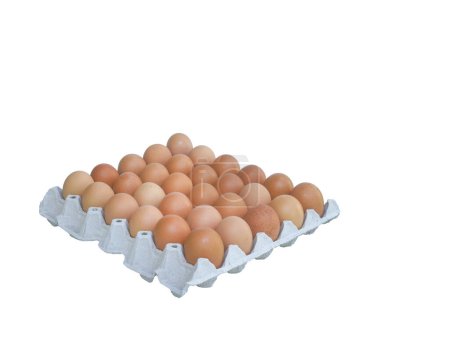 Foto de Treinta huevos marrones por grupo aislado de huevo de gallina fresco en bandeja de papel un ingrediente alimenticio alto en proteínas - Imagen libre de derechos