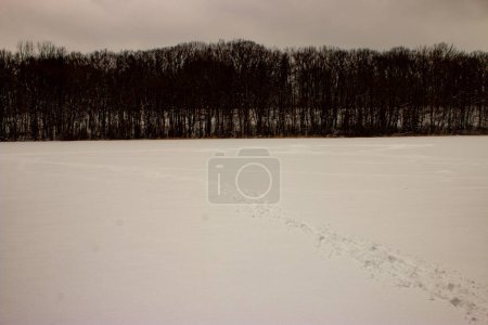 Photo for Winter panorama with frozen pond - Royalty Free Image