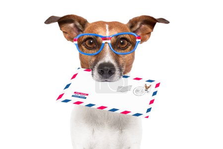 Téléchargez les photos : Mail chien studio tourné - en image libre de droit