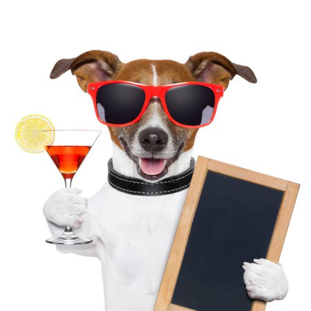 Photo for Nice close up view of funny cocktail dog - Royalty Free Image