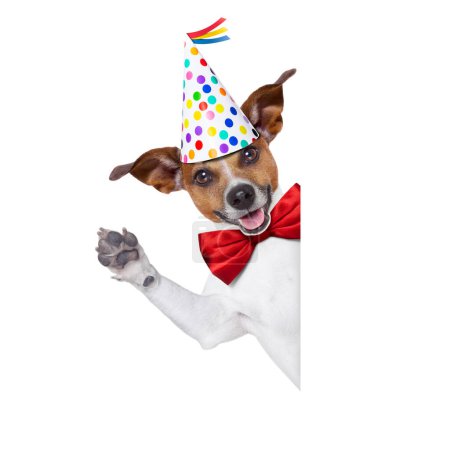 Téléchargez les photos : Joyeux anniversaire chien studio tourné - en image libre de droit