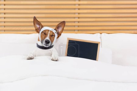 Foto de Enfermo perro acostado en la cama - Imagen libre de derechos