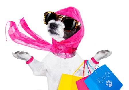 Téléchargez les photos : Shopping chien diva isolé sur fond blanc - en image libre de droit