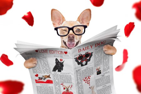 Photo for Dog reading newspaper  studio shot - Royalty Free Image