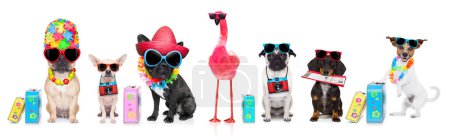 Téléchargez les photos : Rangée de chiens en vacances d'été - en image libre de droit