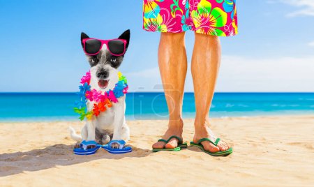 Foto de Vacaciones de verano perro y propietario - Imagen libre de derechos