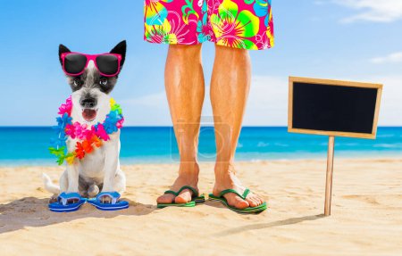 Photo for Dog and owner  summer holidays - Royalty Free Image