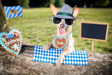 Téléchargez les photos : Bavarois bière chien image - en image libre de droit