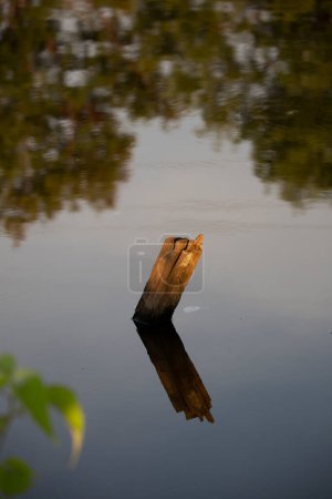 Téléchargez les photos : "Wooden Post in a Flood" - en image libre de droit