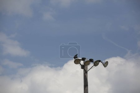 Photo for Field Lights close-up view - Royalty Free Image