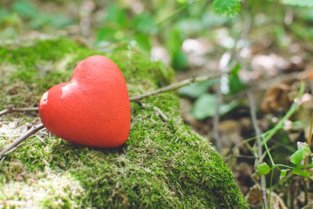 Téléchargez les photos : "Coeur décoratif rouge dans la forêt. Concept d'amour
" - en image libre de droit