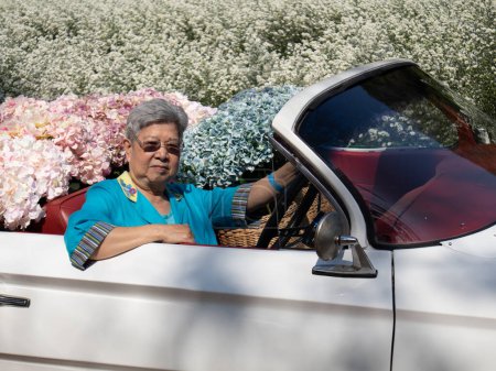 Photo for Asian old elderly elder woman senior riding classic car with hydrangea flower in cutter aster garden - Royalty Free Image