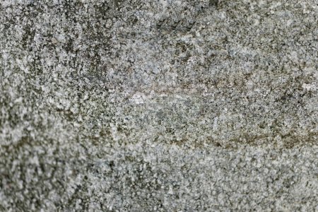 Foto de "La pared exterior es de cemento gris rugoso con depresiones irregulares y parcialmente borrosa" - Imagen libre de derechos