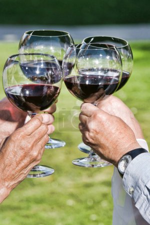 Photo for Two friends toasting with glasses - Royalty Free Image