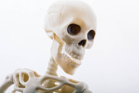 Foto de Human skeleton skull model in hand posing for medical anatomy science - Imagen libre de derechos