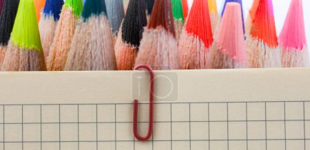 Photo for "Color pencils of various color on white background" - Royalty Free Image