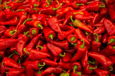 Photo for A Lot of Red Peppers as food background - Royalty Free Image