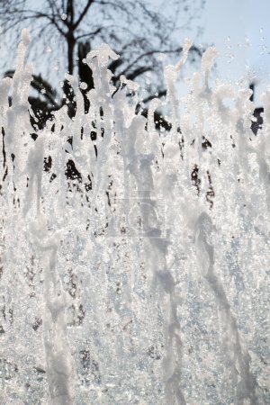 Photo for The fountains gushing sparkling water in a pool - Royalty Free Image