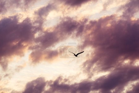 Téléchargez les photos : Nuages de couleur gris couvrent partiellement le ciel - en image libre de droit