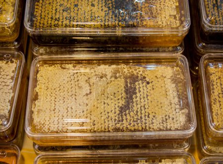Téléchargez les photos : "Miel frais dans le cadre de peigne scellé
" - en image libre de droit