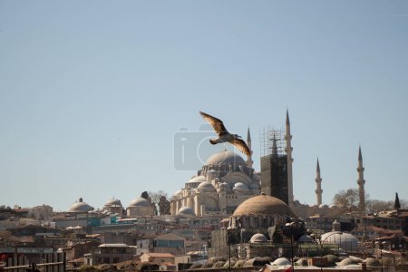 Téléchargez les photos : Mosquée de style ottoman à Istanbul - en image libre de droit