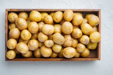 Foto de "Patatas frescas sin pelar, en caja de madera, sobre fondo de piedra blanca, vista superior plana" - Imagen libre de derechos