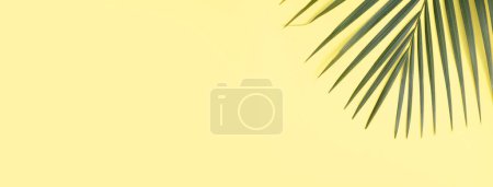 Photo for Tropical palm leaves isolated on bright yellow background. - Royalty Free Image