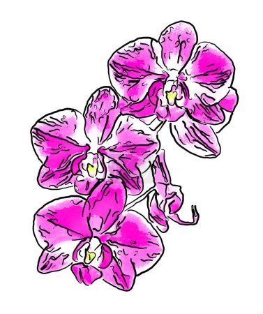 Téléchargez les photos : "Illustration abstraite des fleurs d'orchidées
" - en image libre de droit