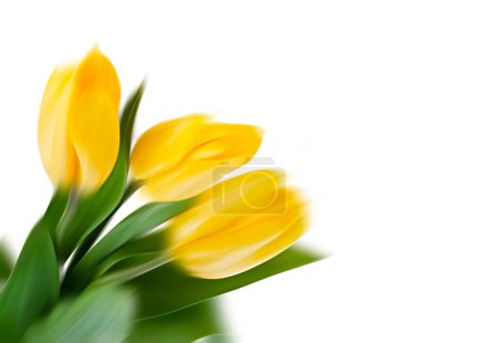 Foto de Ramo de tulipanes amarillos, vista de cerca - Imagen libre de derechos
