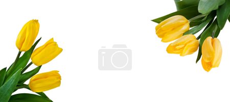 Foto de Ramo de tulipanes amarillos, vista de cerca - Imagen libre de derechos