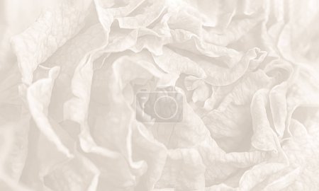 Photo for Dry bouquet background view - Royalty Free Image