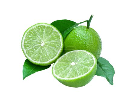 Photo for Isolated green lemons with half cut and leaves a sour fruit ingredient for healthy food and juice or beverage - Royalty Free Image