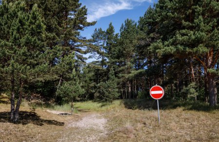 Téléchargez les photos : Panneau routier et forêt interdits - en image libre de droit