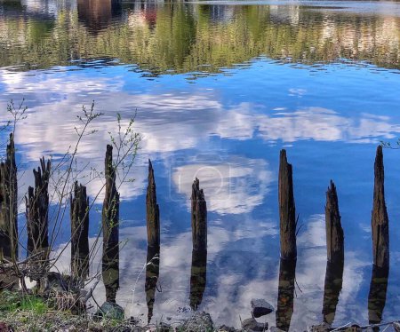 Foto de Columnas podridas en el agua, con reflejos de cielo y nubes - Imagen libre de derechos