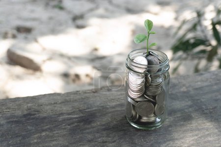 "Wachsende Geldpflanze, die thailändische Baht-Münzen in einem Flaschenglas auf einem Holztisch mit Filtereffekt im Retro-Schwarz-Stil speichert. Geld sparen Konzept"
