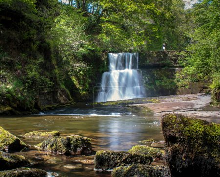 Téléchargez les photos : Paysage de cascade en forêt - en image libre de droit