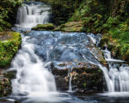 Téléchargez les photos : Paysage de cascade en forêt - en image libre de droit