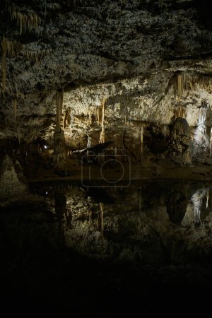Téléchargez les photos : "formations calcaires à l'intérieur des grottes de Macocha dans le Karst morave" - en image libre de droit