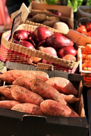 Photo for "Vegetables for sale at a ecological market stall" - Royalty Free Image