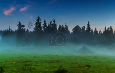 Téléchargez les photos : Beau paysage forestier en Roumanie - en image libre de droit